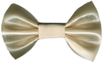 Gravata Borboleta (11,5cm x 7cm) gb0019